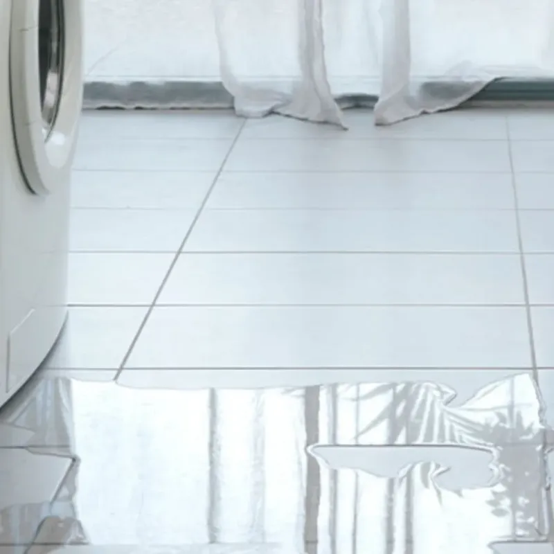 Appliance Leak Cleanup in Badger, AK