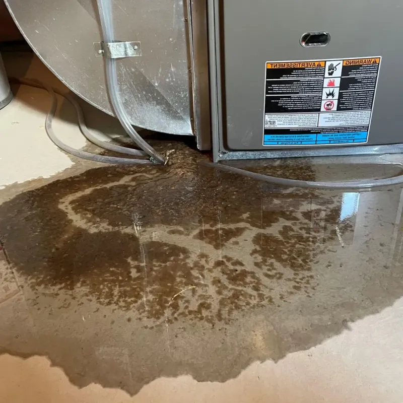 Pipe Burst and Leak Restoration in Badger, AK