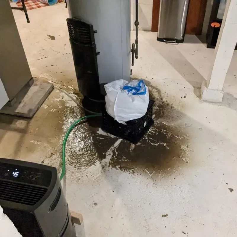 Sewage Backup Cleanup Service in Badger, AK